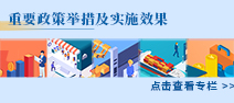 重要政策舉措及實施效果